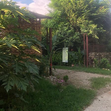 Tara Guesthouse - Sauraha,Chitwan Exteriör bild