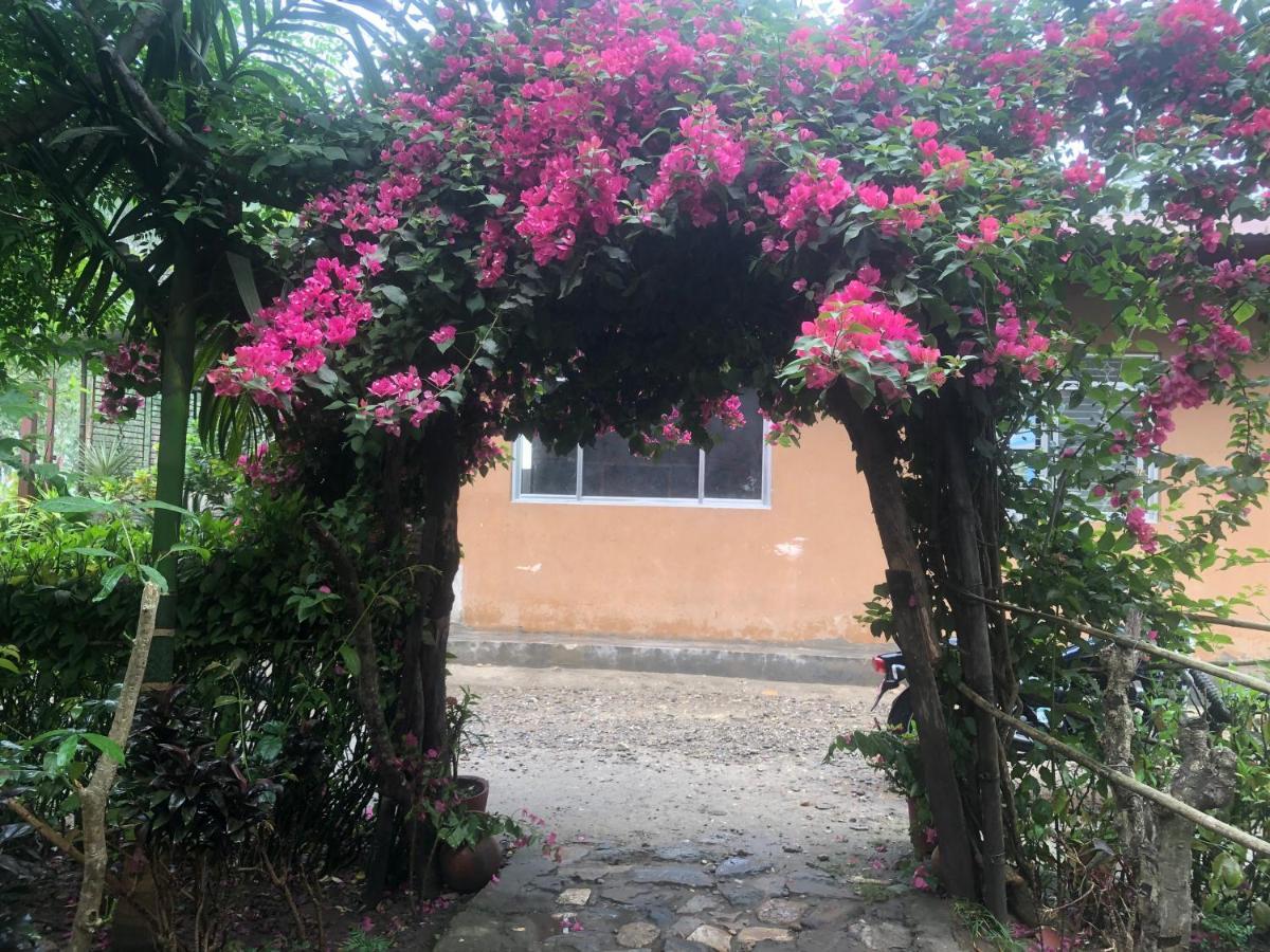 Tara Guesthouse - Sauraha,Chitwan Exteriör bild