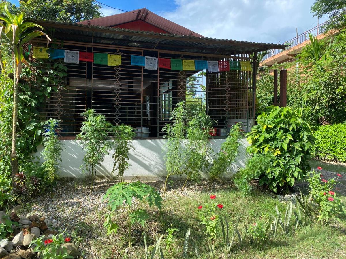 Tara Guesthouse - Sauraha,Chitwan Exteriör bild