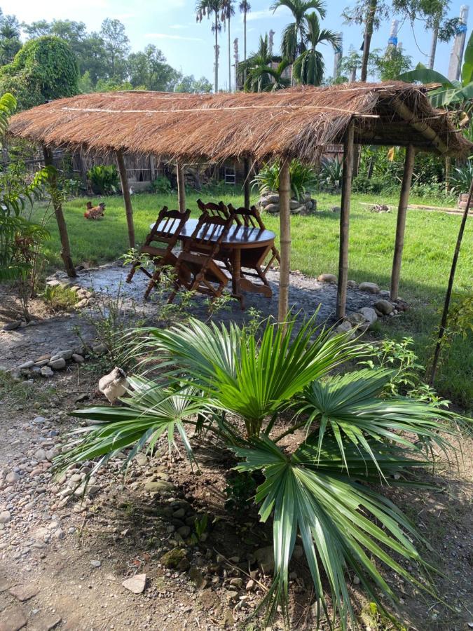 Tara Guesthouse - Sauraha,Chitwan Exteriör bild