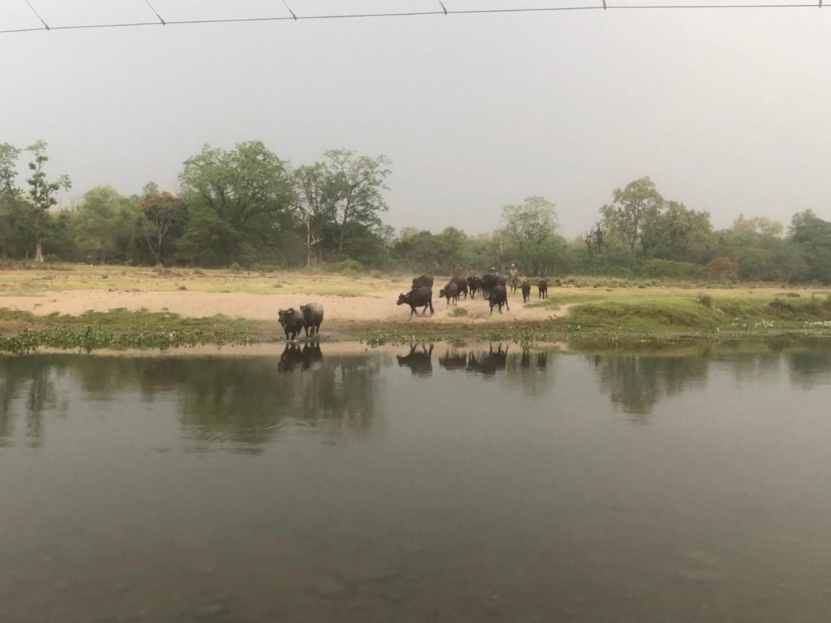 Tara Guesthouse - Sauraha,Chitwan Exteriör bild
