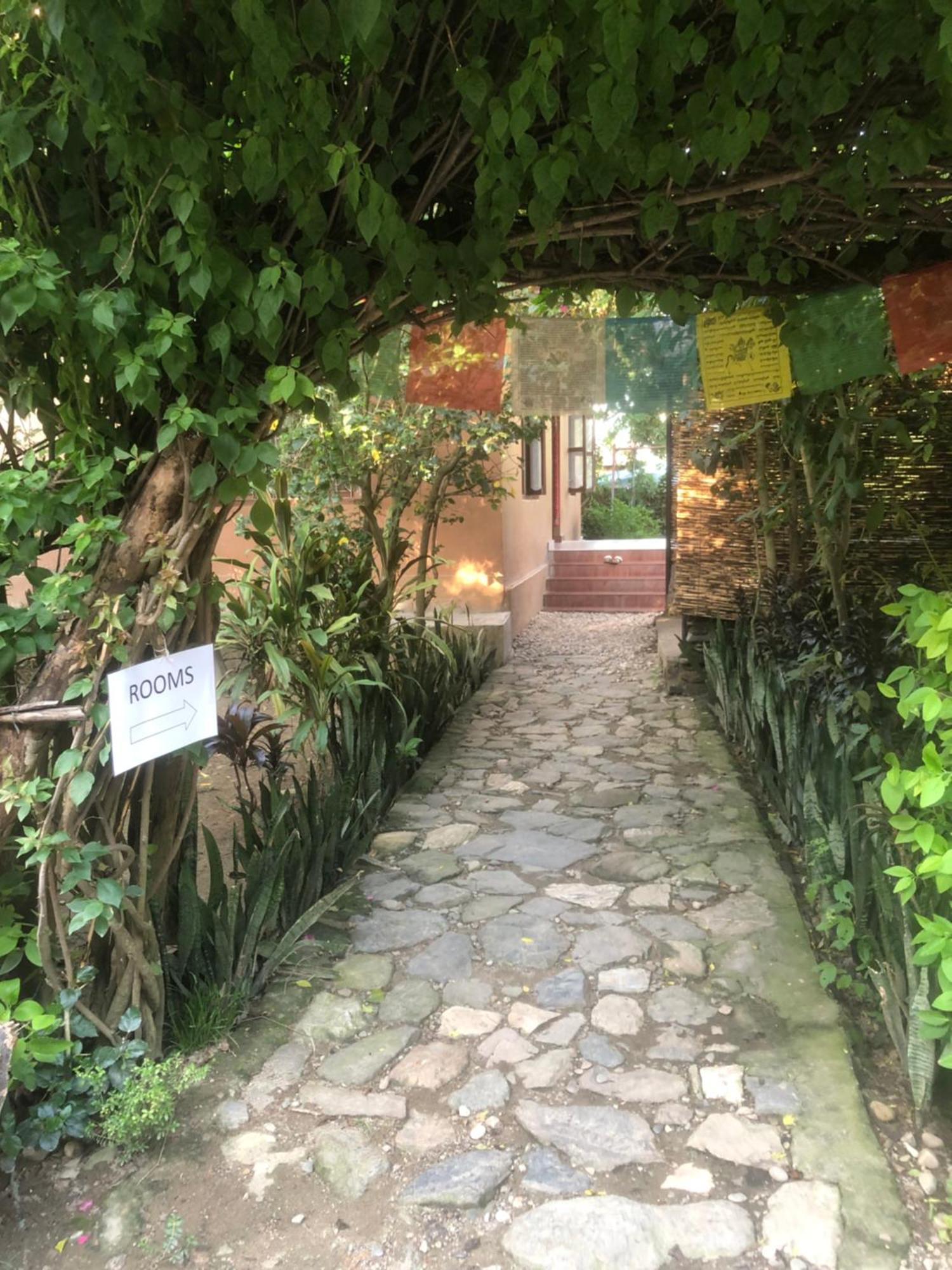 Tara Guesthouse - Sauraha,Chitwan Exteriör bild