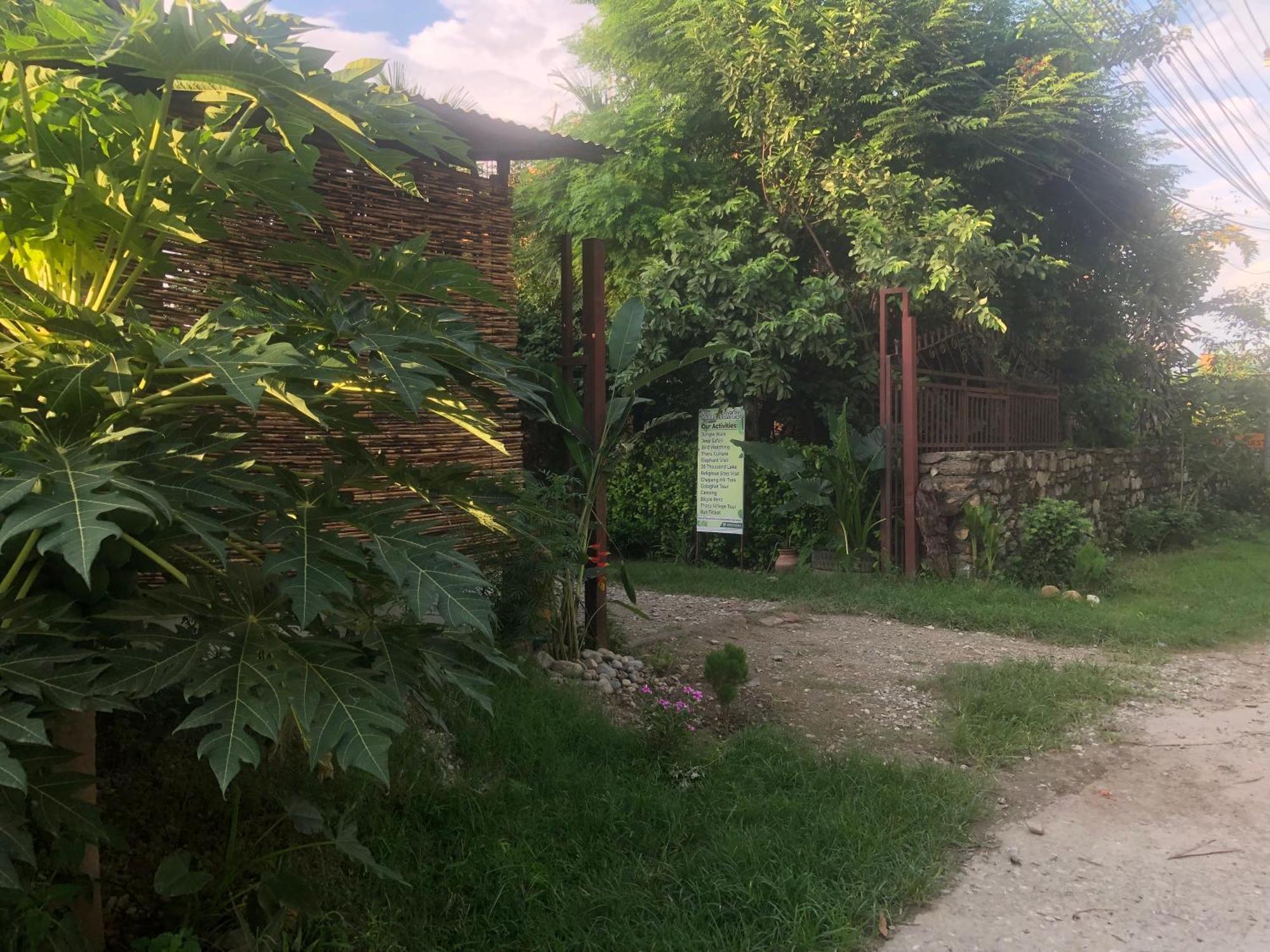 Tara Guesthouse - Sauraha,Chitwan Exteriör bild